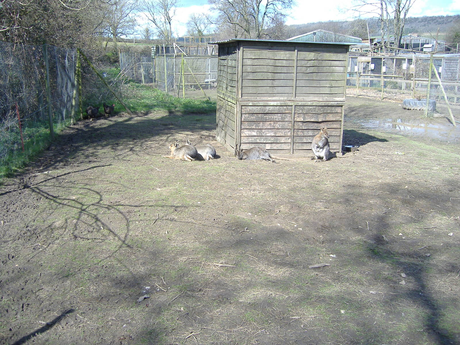 axe valley bird and animal park