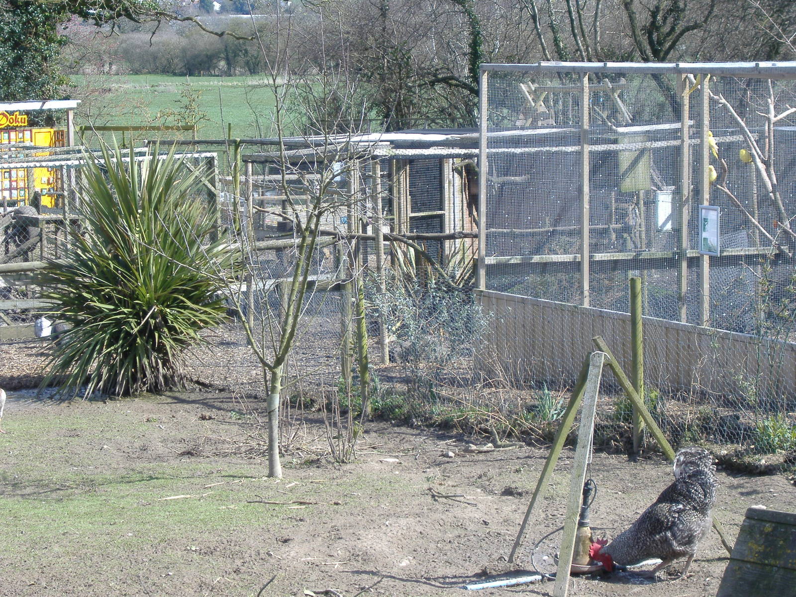 axe valley bird and animal park