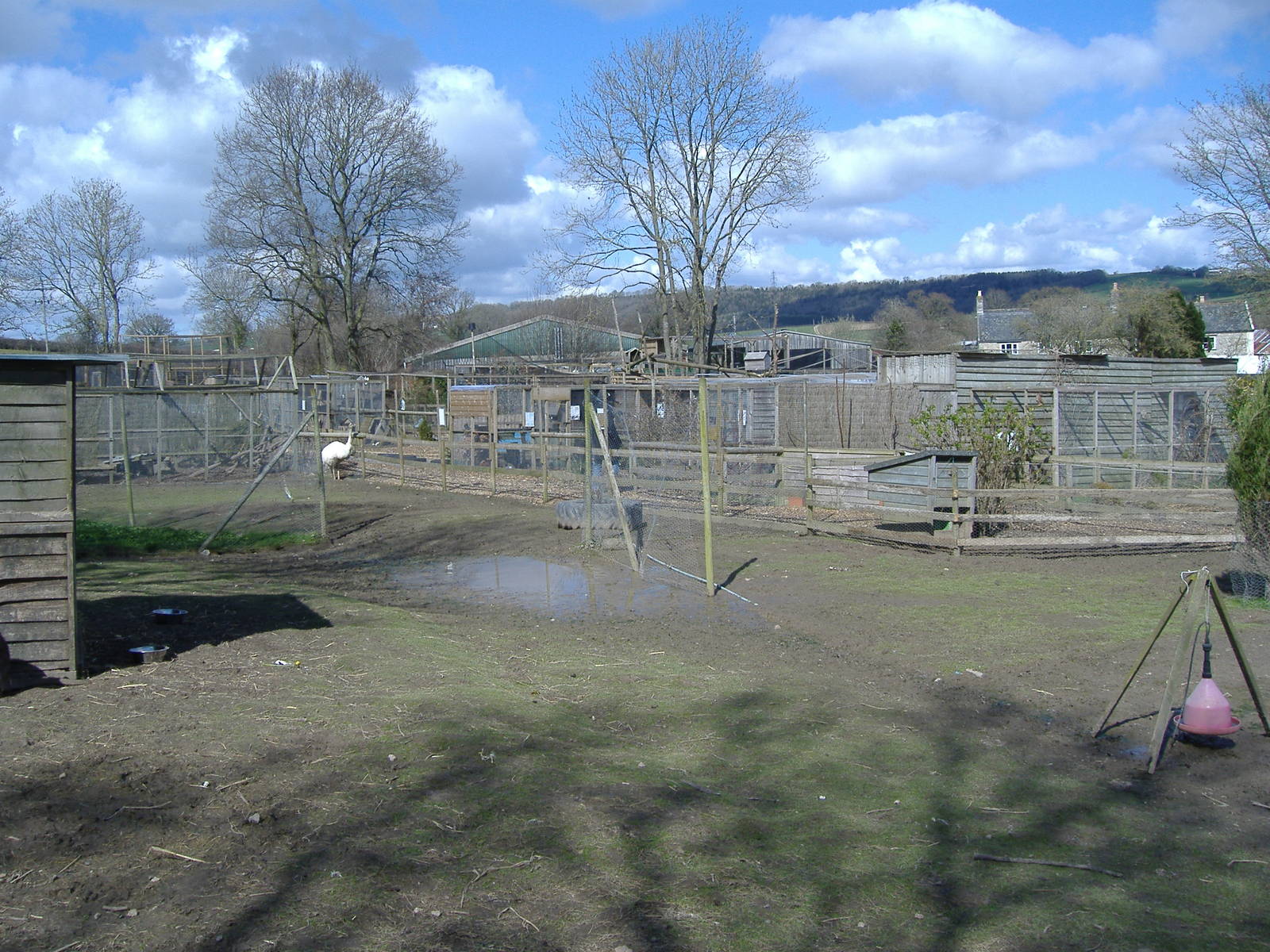 axe valley bird and animal park