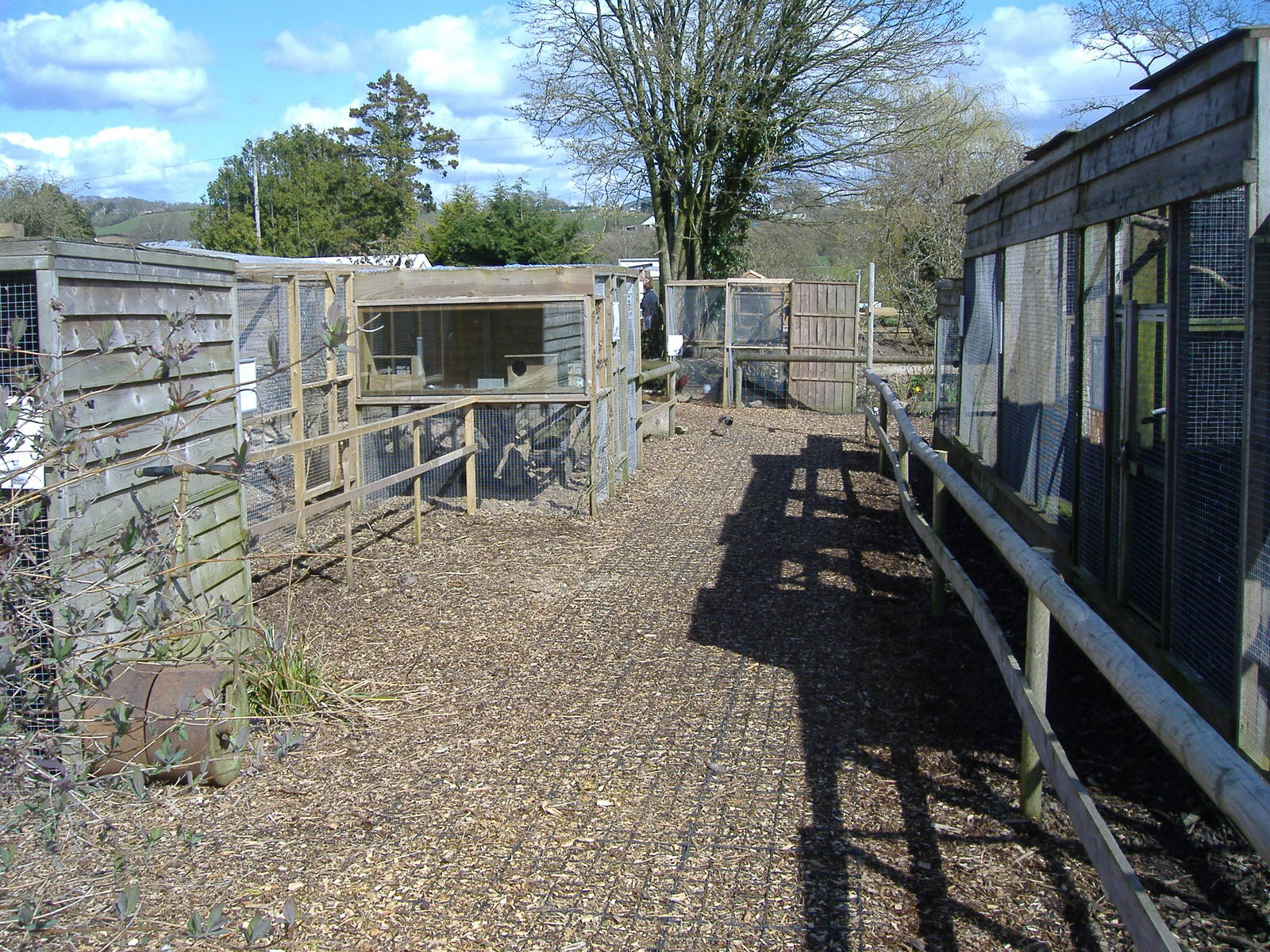 axe valley bird and animal park