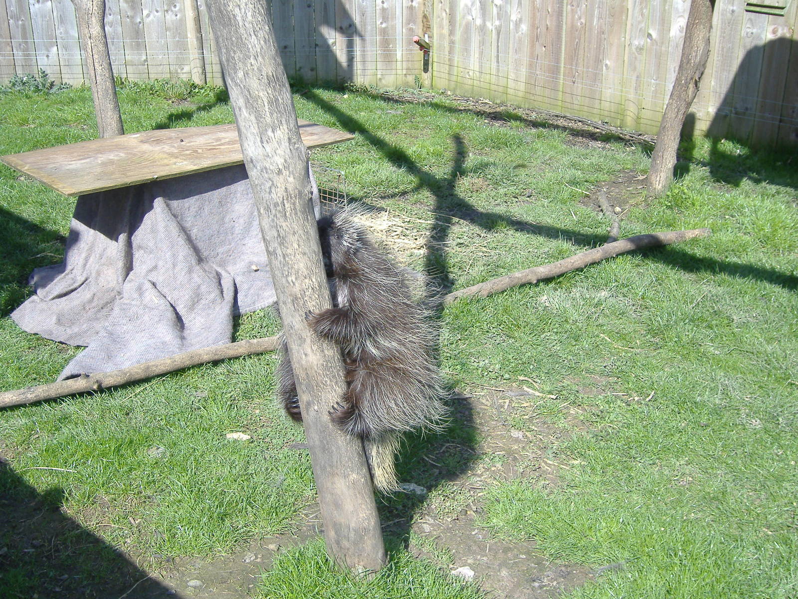 axe valley bird and animal park