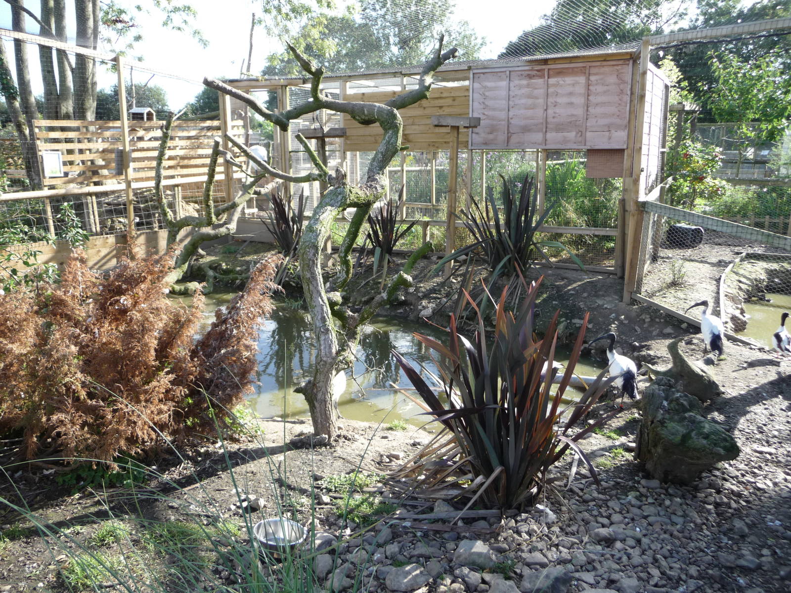 Axe Valley Bird and Animal Park