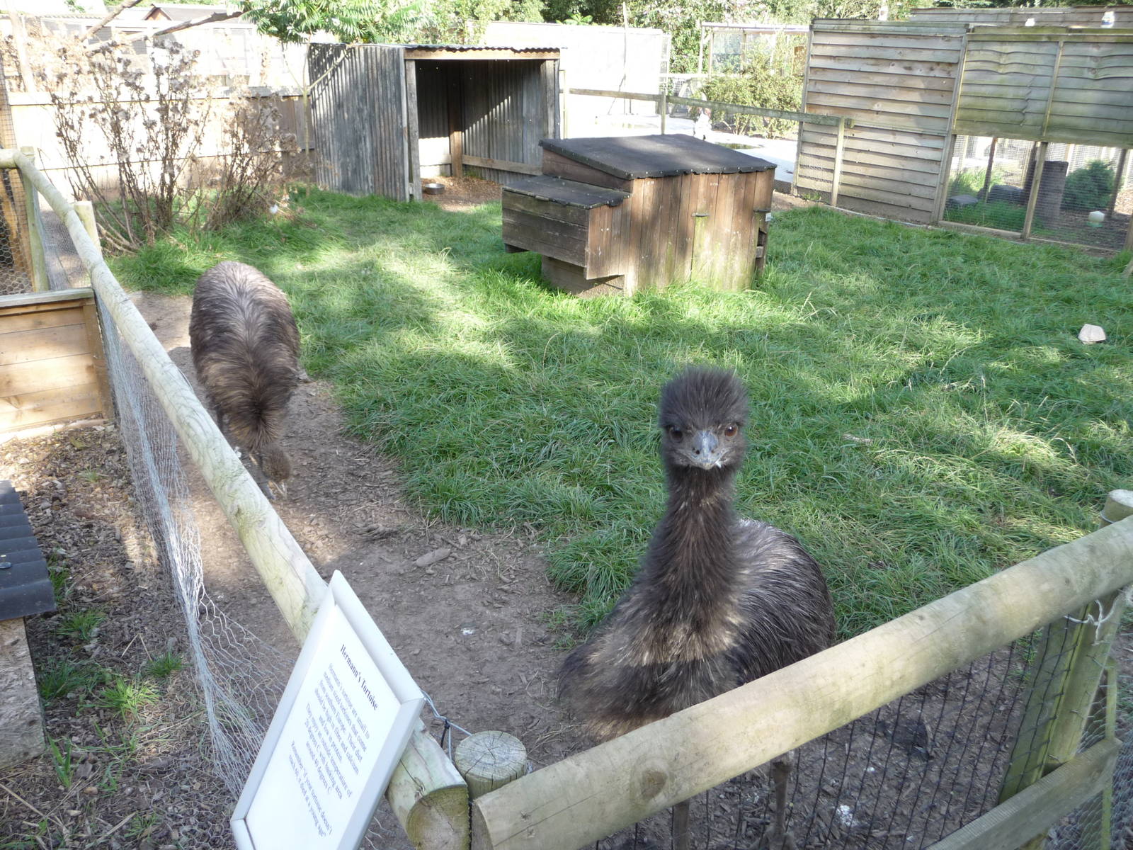 Axe Valley Bird and Animal Park