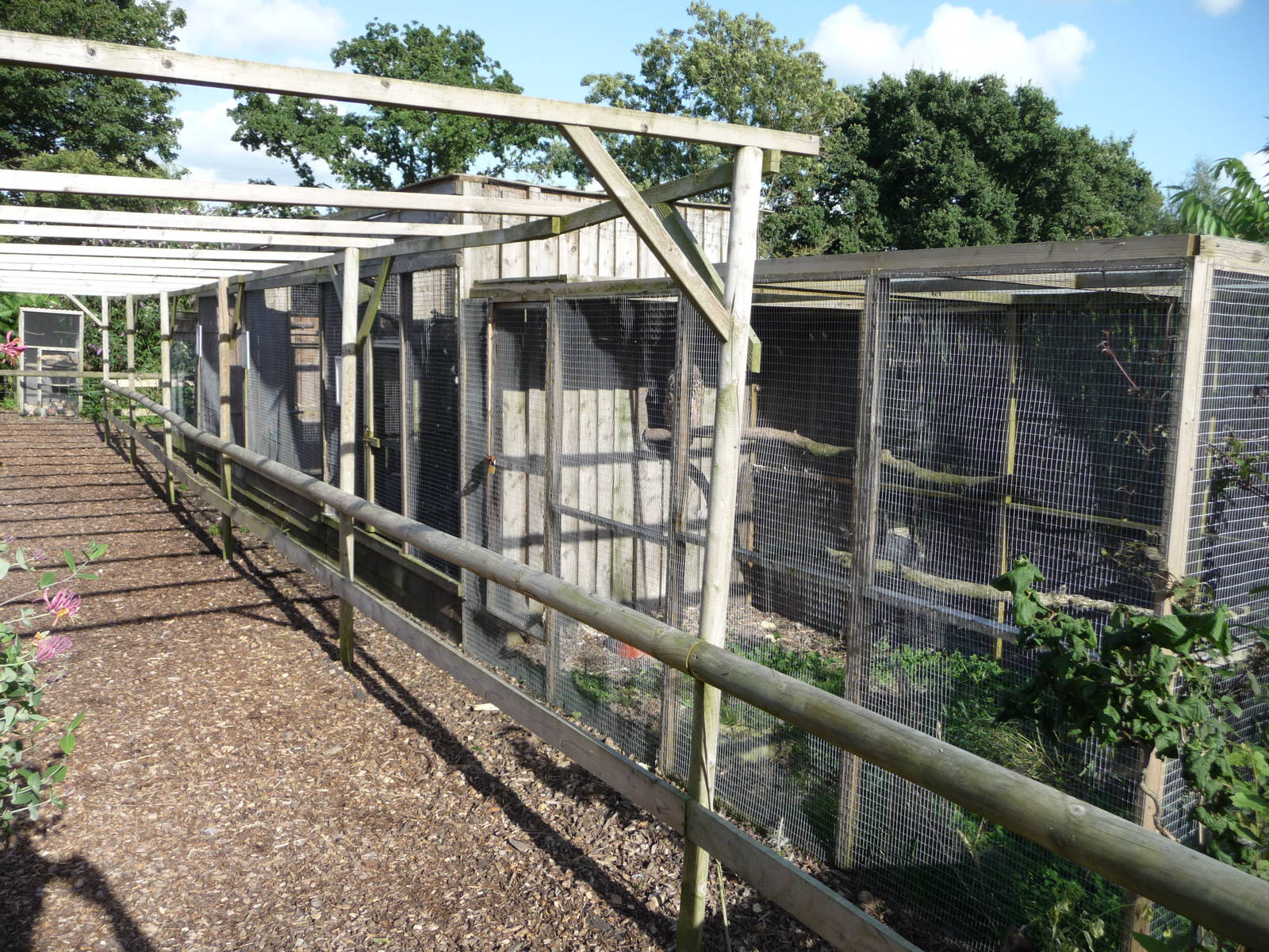 Axe Valley Bird and Animal Park