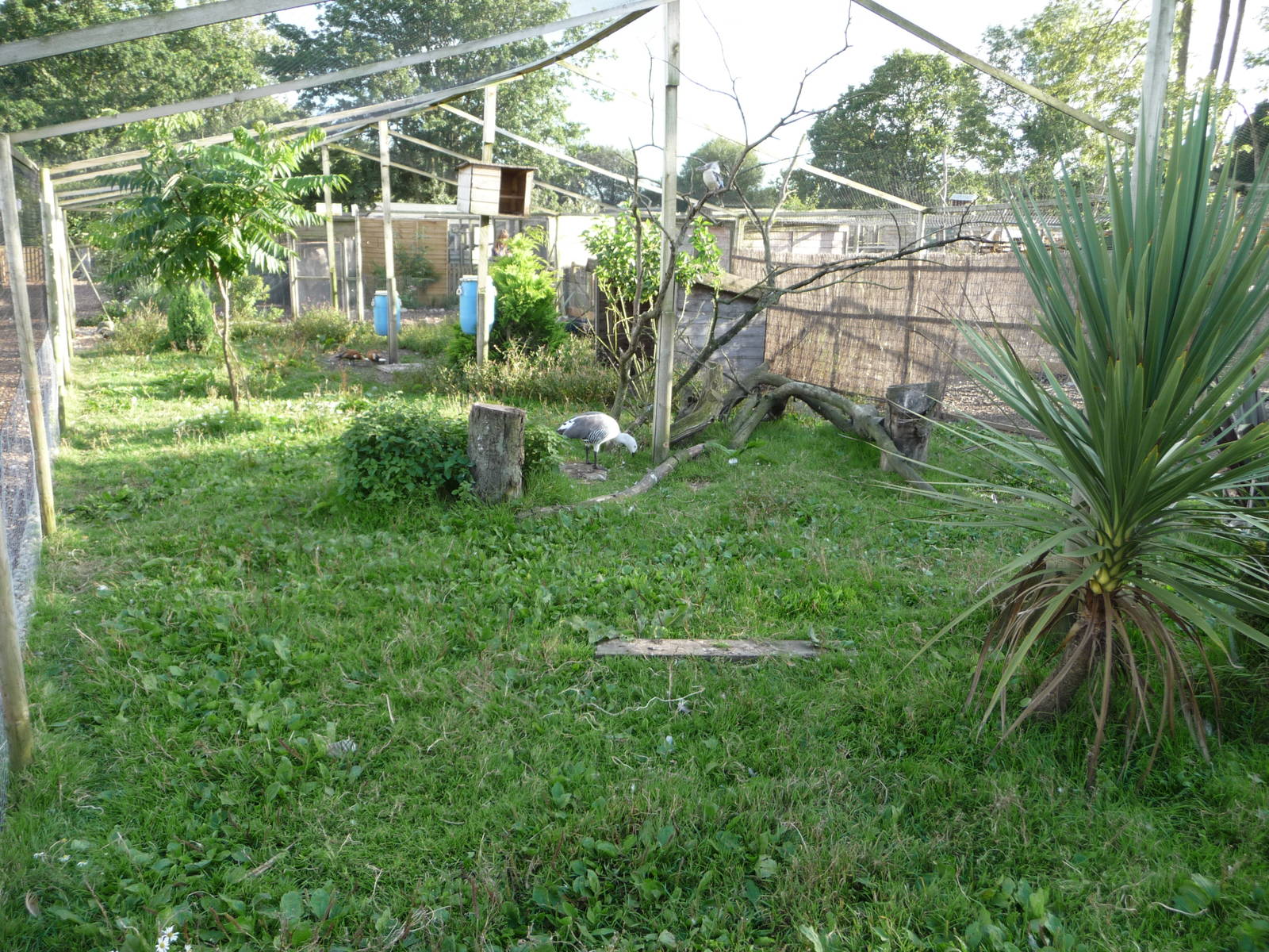 Axe Valley Bird and Animal Park