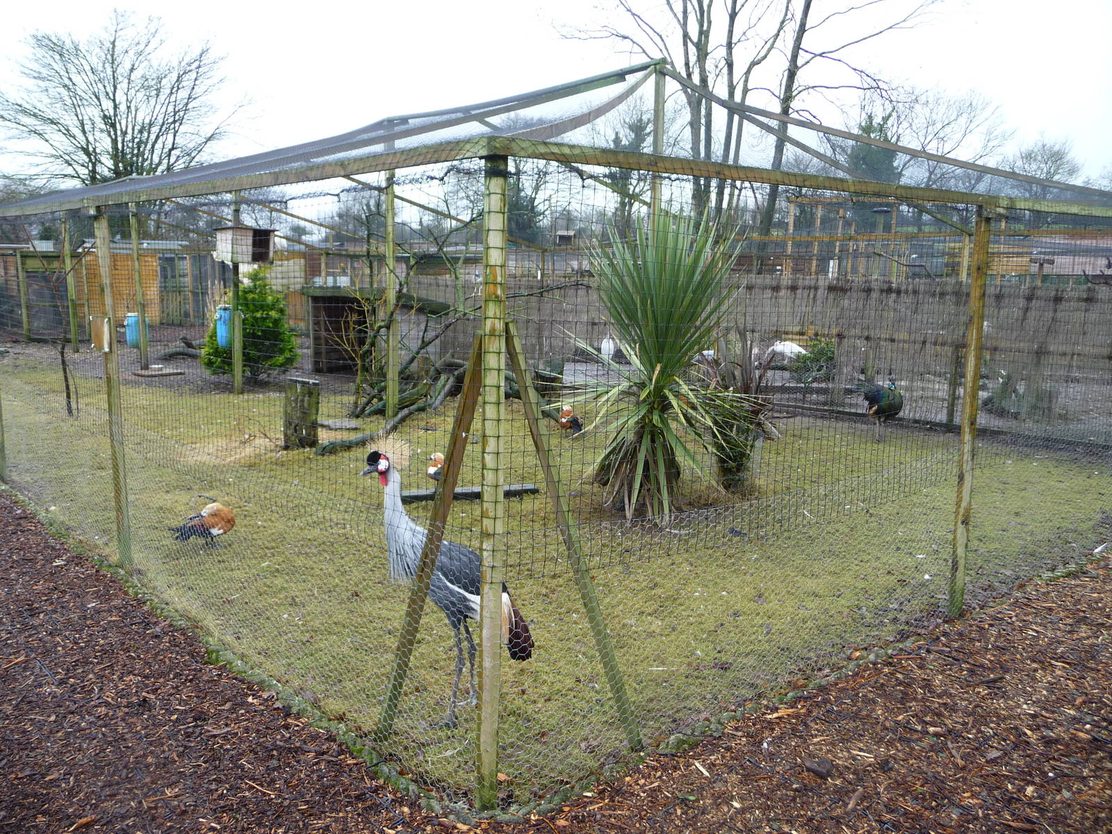 Axe Valley Bird and Animal Park