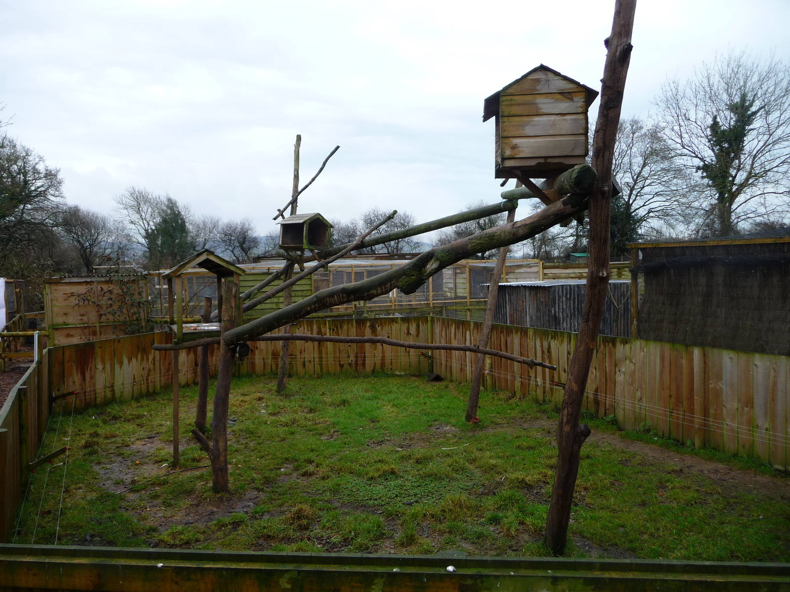 Axe Valley Bird and Animal Park