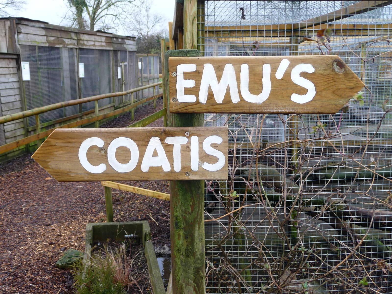 Axe Valley Bird and Animal Park