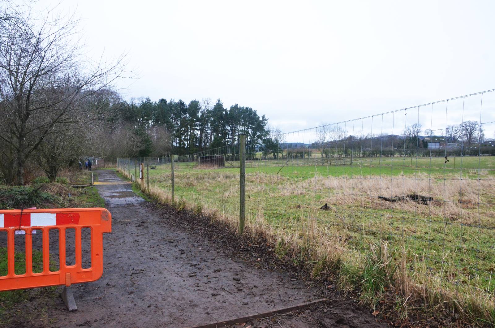 Axis Deer Paddock at the Scottish Deer Centre, 06/02/16
