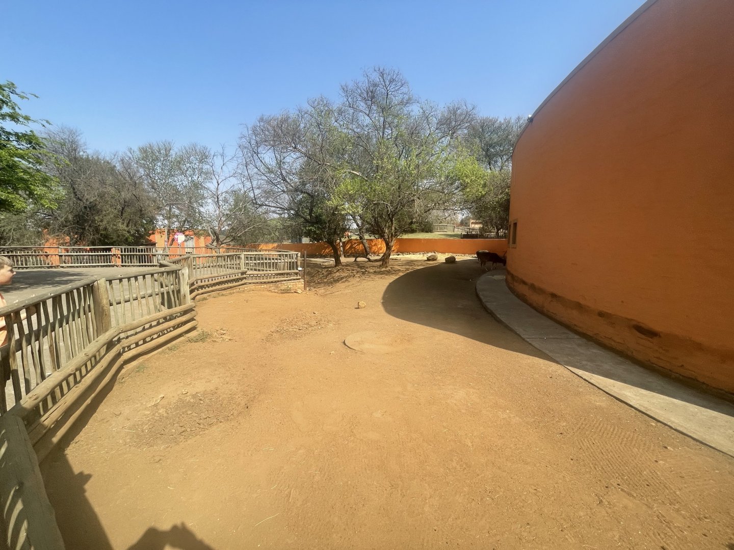 Axis Deer, Warthog and Domestic Pig Enclosure (Axis axis, Phacochoerus africanus, Sus scrofa domesticus)