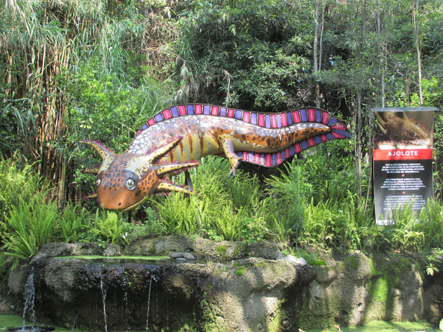 axolotl alebrije folk art