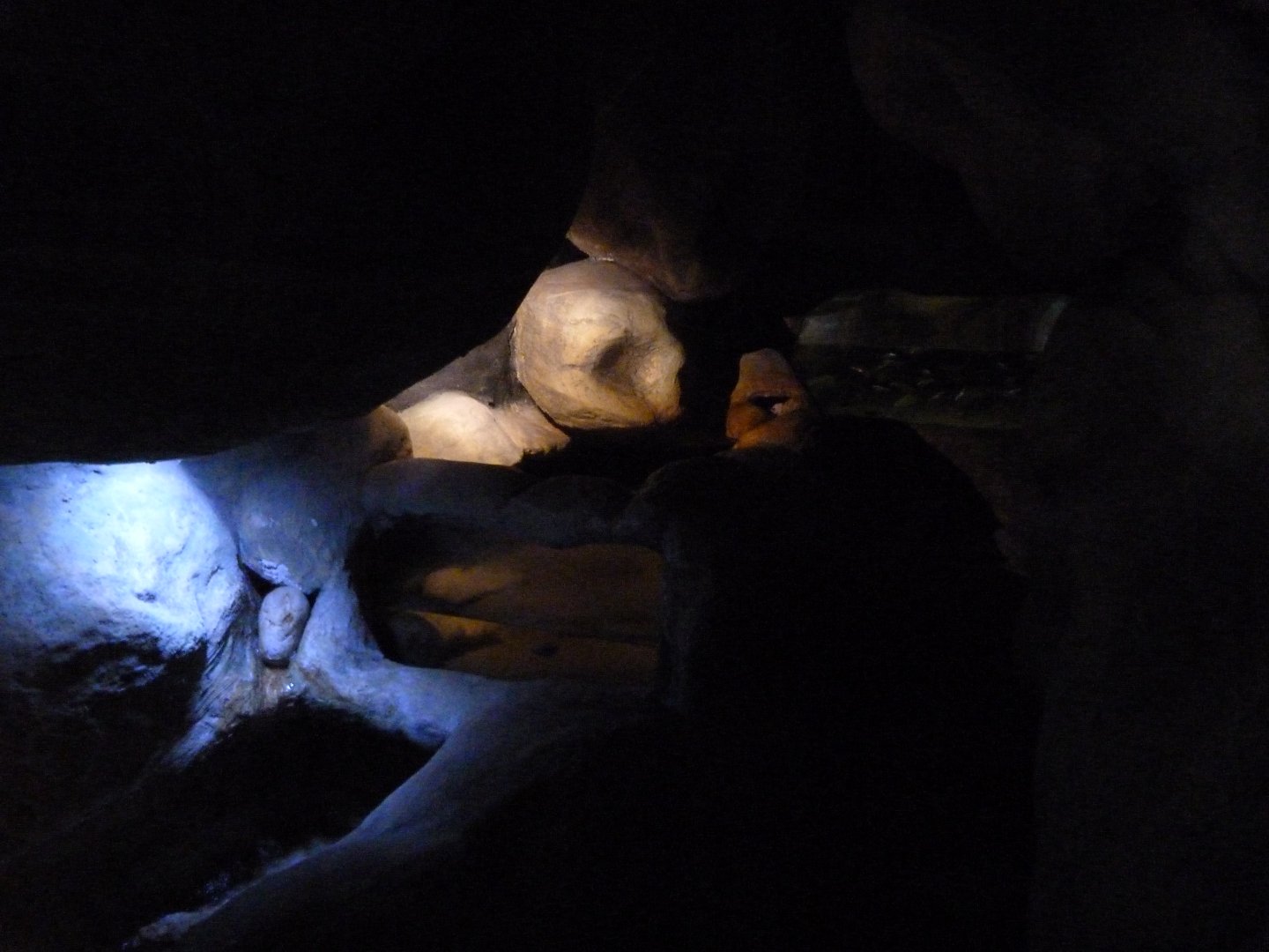 Axolotl and Blind cave tetra exhibit -Zoo Plzeň (2025)