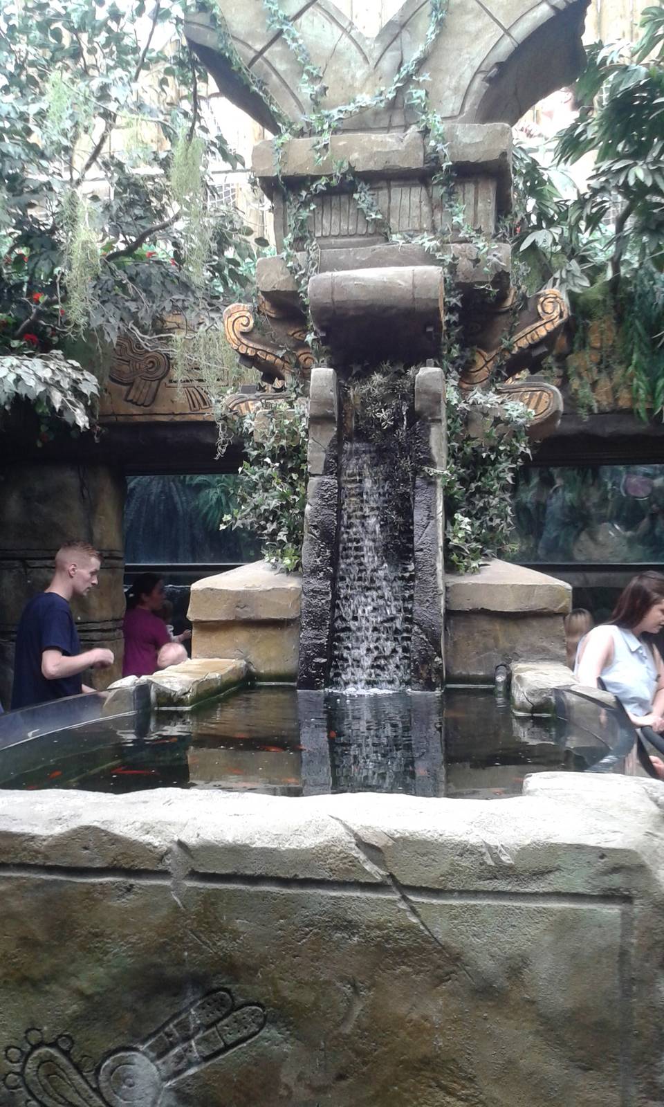 Axolotl and Swordtail exhibit