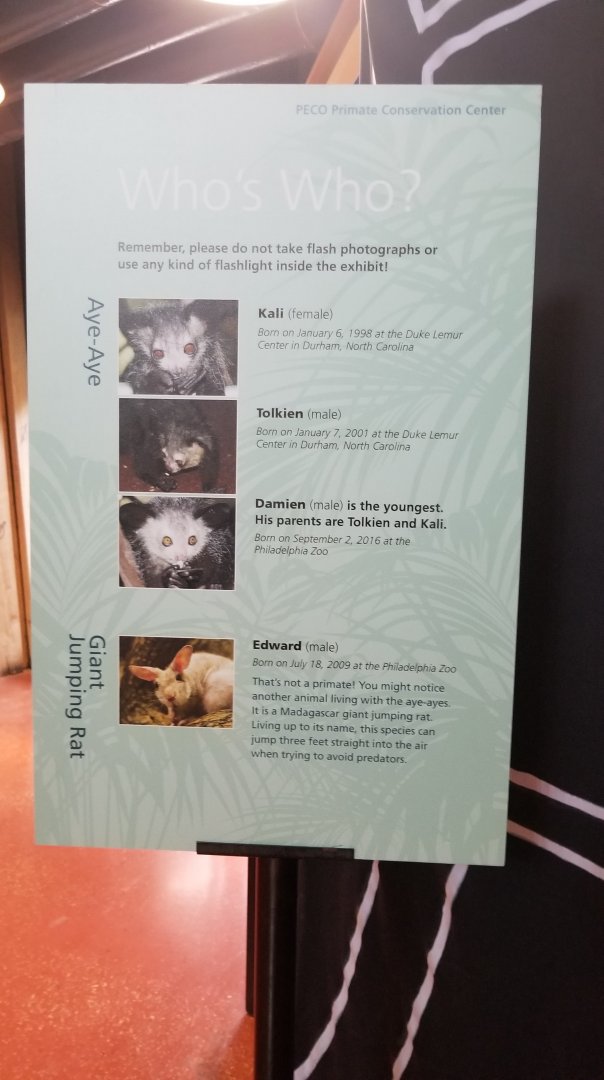 Aye-Aye and Giant Jumping Rat sign