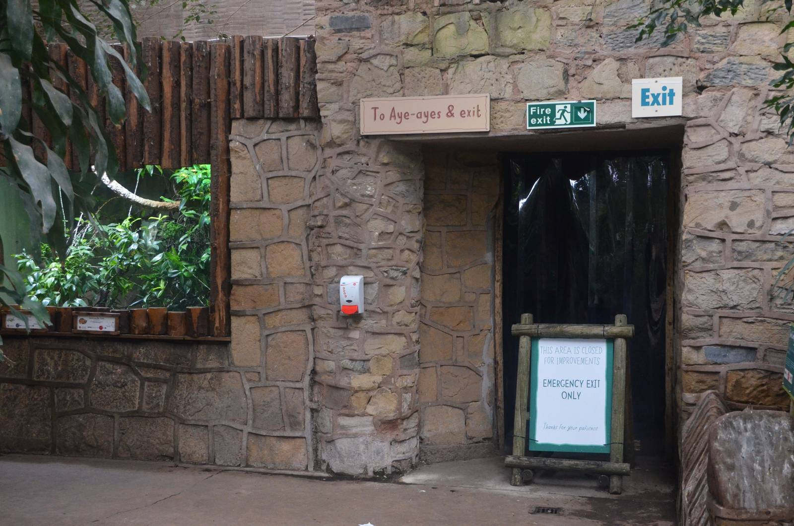 Aye-aye and Jumping Rat Signage at Chester, 09/03/16