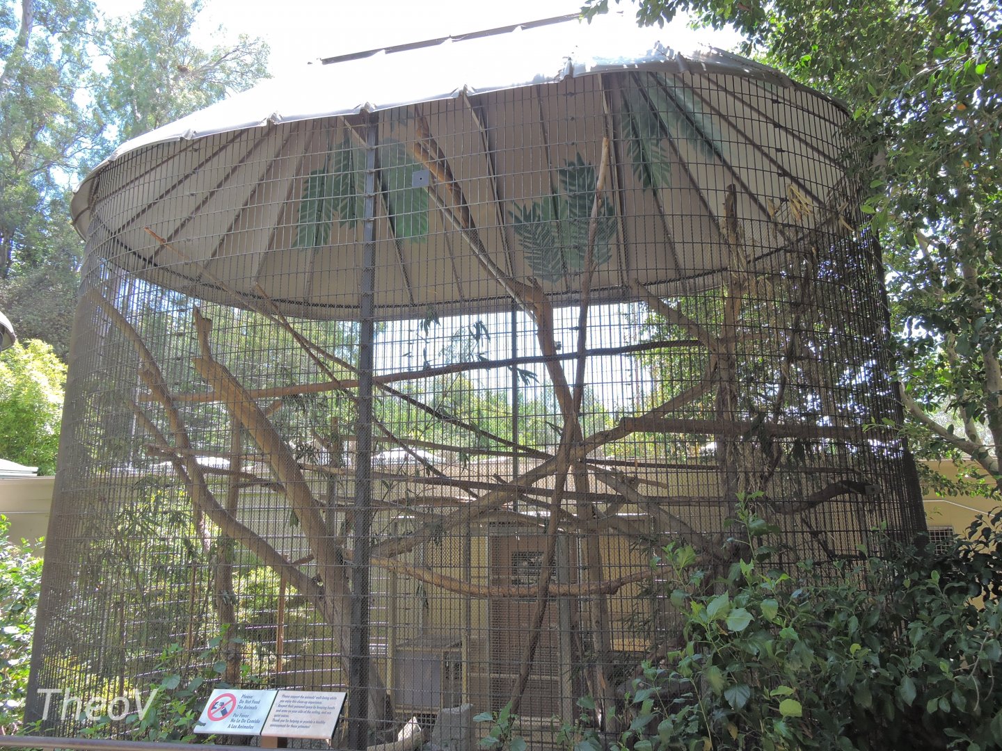 Aye-aye aviary [2015]