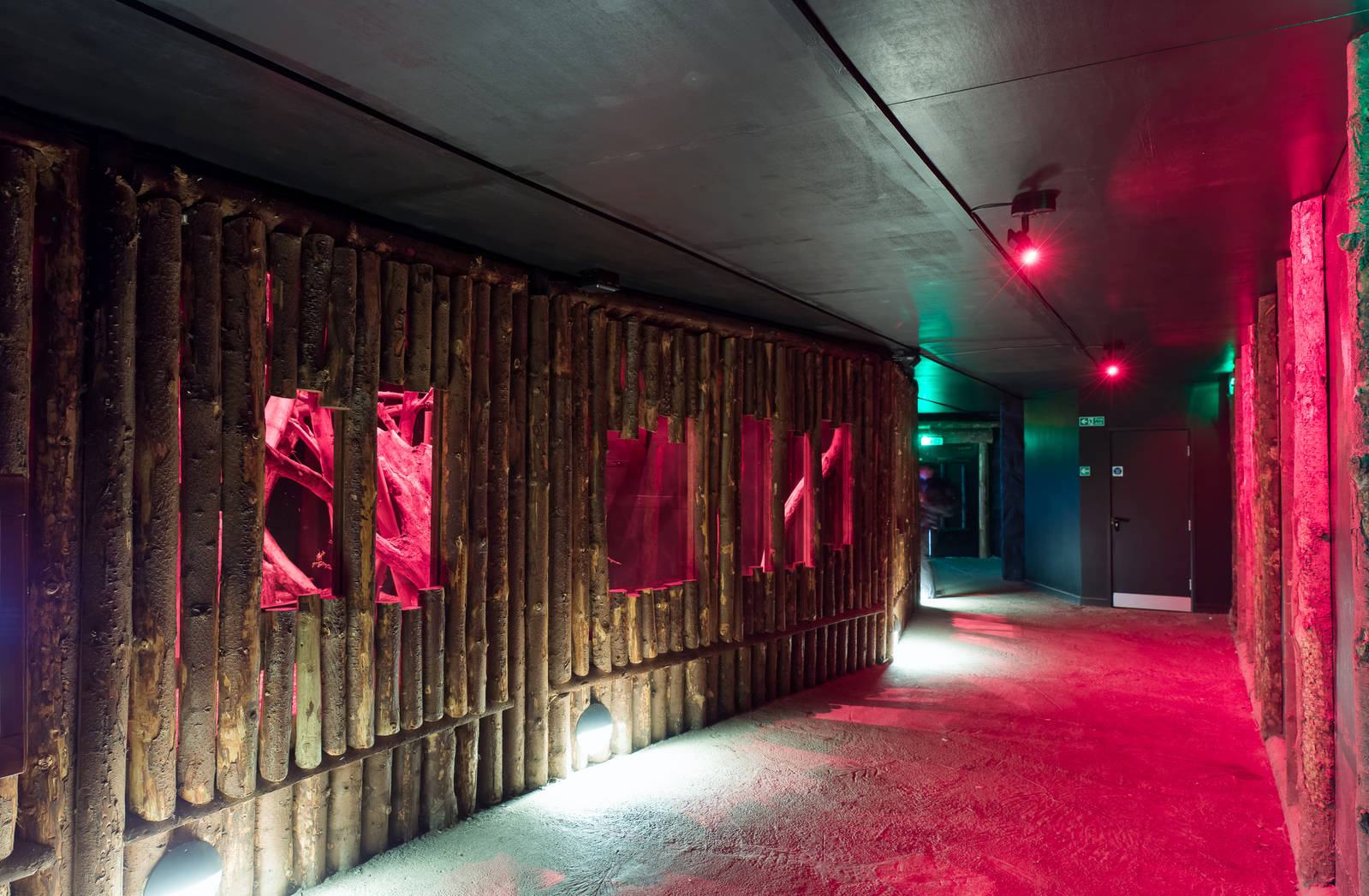 Aye-Aye Enclosures - Tropical Realm - 30/04/2016