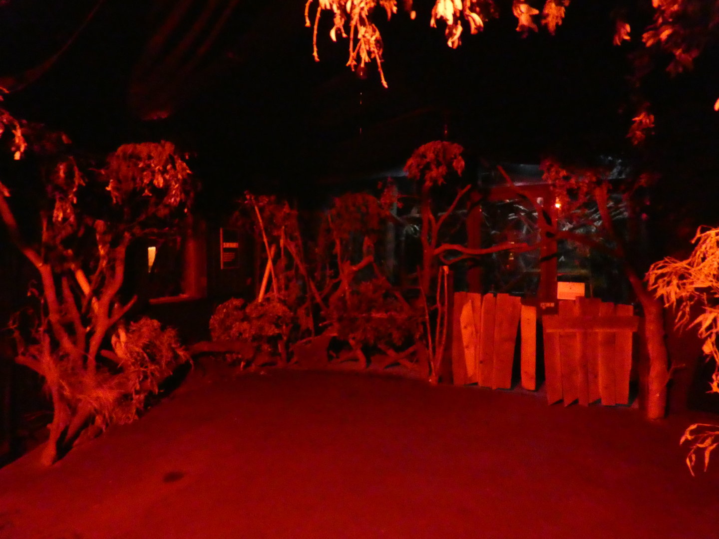 Aye-aye viewing area