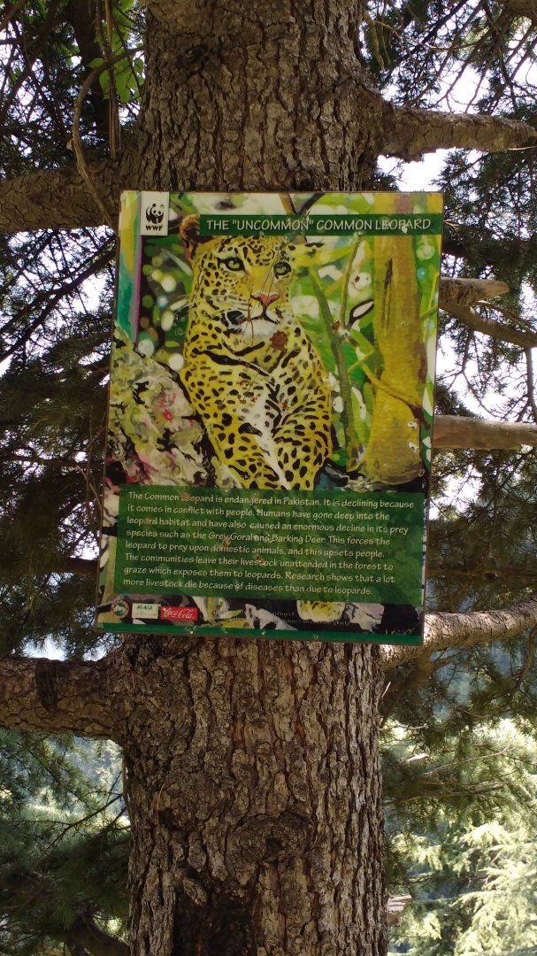 Ayubia National Park - 2016