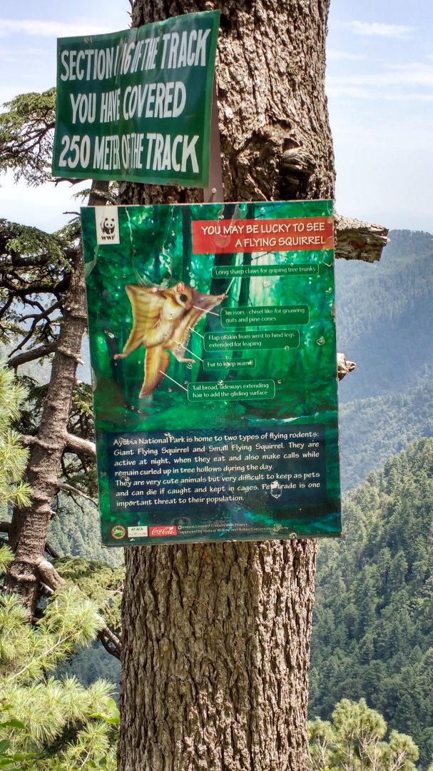 Ayubia National Park - 2016