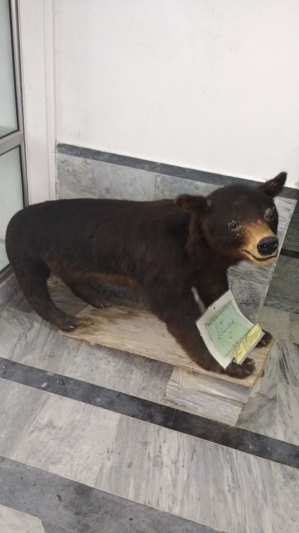 Ayubia National Park - 2016