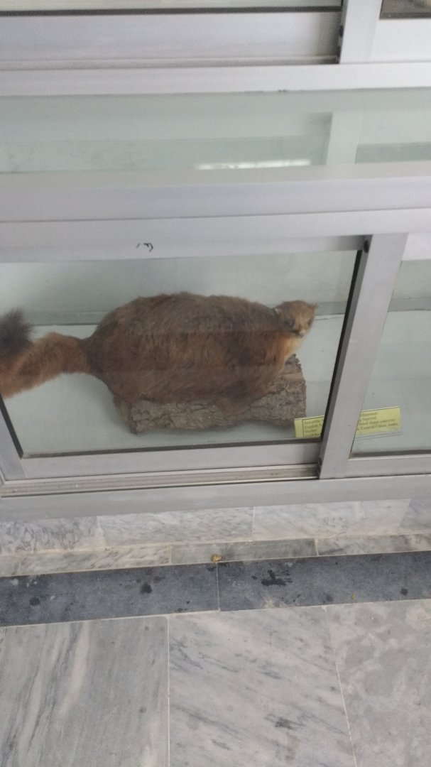 Ayubia National Park - 2016