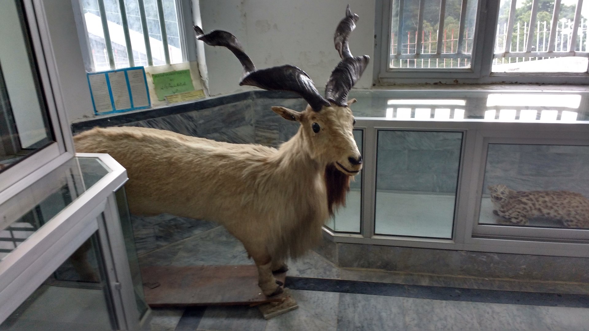 Ayubia National Park - 2016