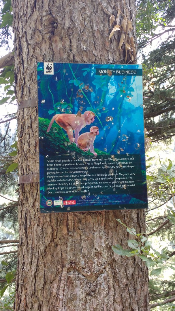 Ayubia National Park - 2016