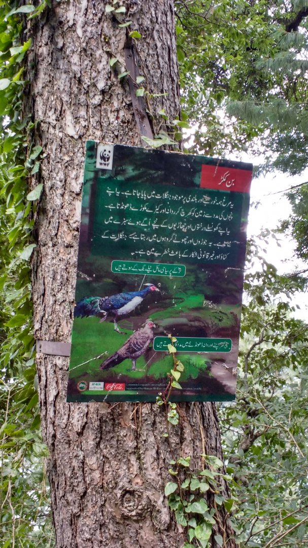 Ayubia National Park - 2016