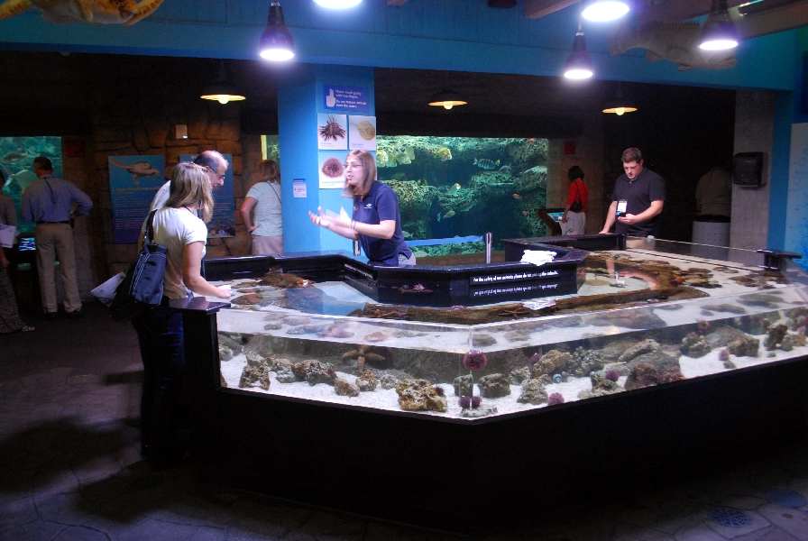 AZA 9-13-11 Georgia Aquarium