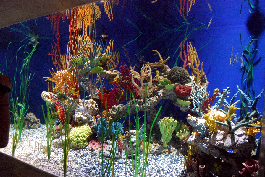 AZA 9-13-11 Georgia Aquarium