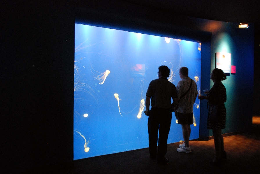 AZA 9-13-11 Georgia Aquarium