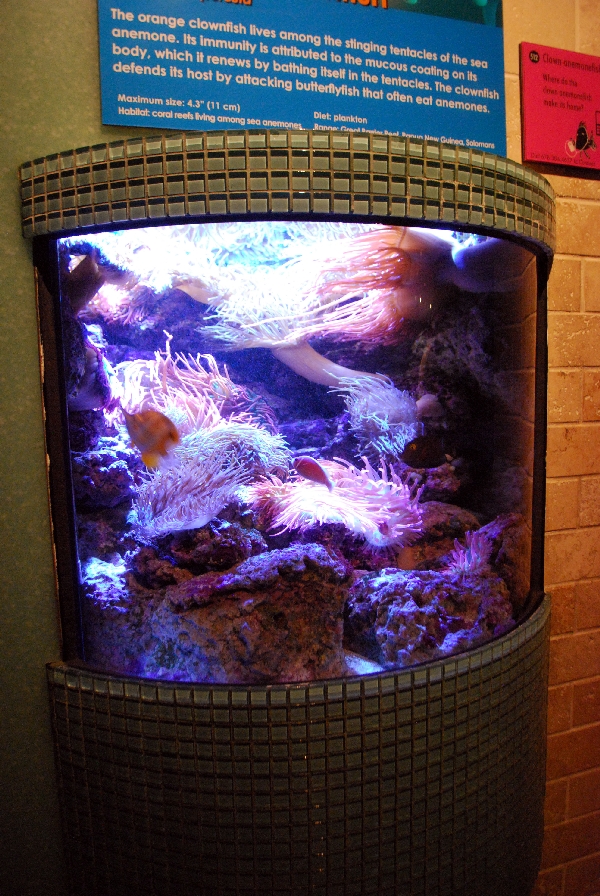 AZA 9-13-11 Georgia Aquarium