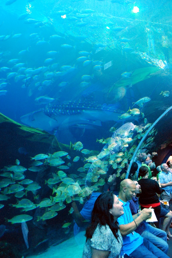 AZA 9-13-11 Georgia Aquarium