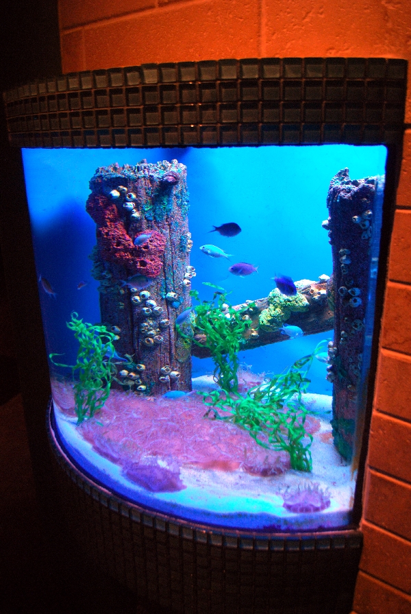 AZA 9-13-11 Georgia Aquarium