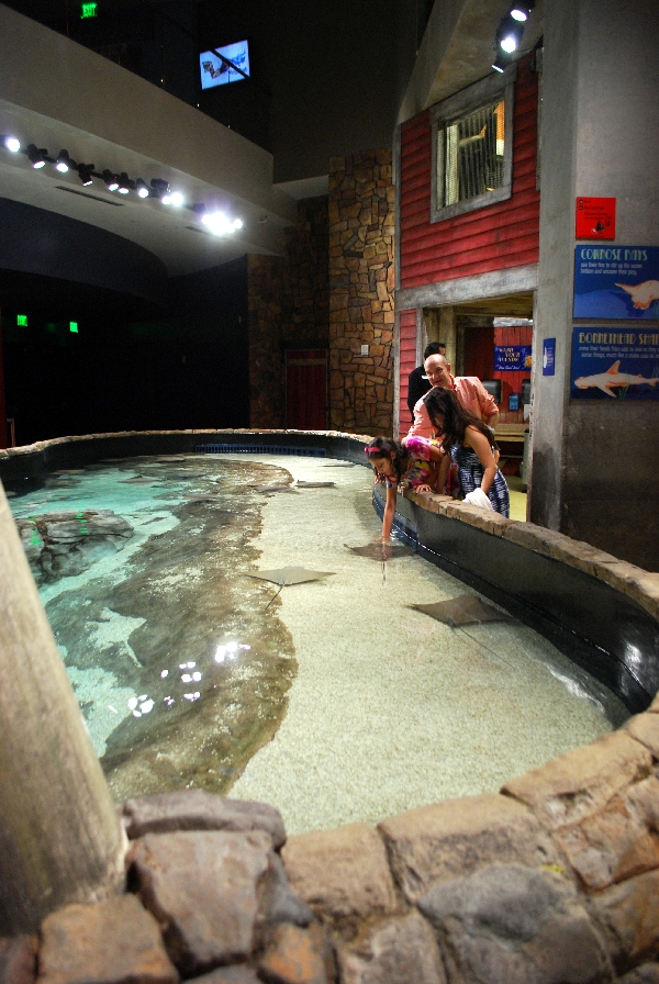 AZA 9-13-11 Georgia Aquarium