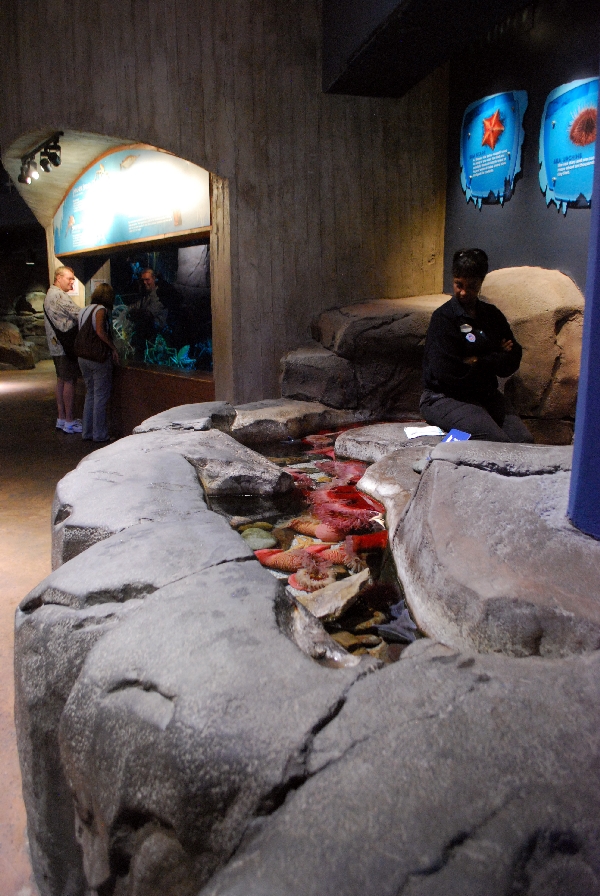 AZA 9-13-11 Georgia Aquarium