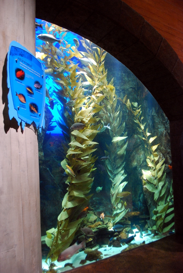 AZA 9-13-11 Georgia Aquarium