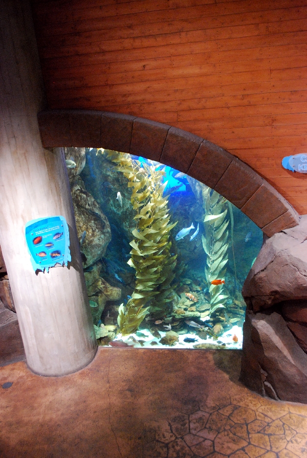 AZA 9-13-11 Georgia Aquarium