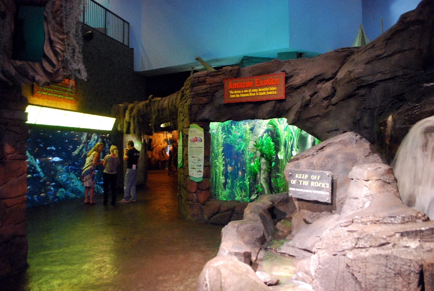 AZA 9-13-11 Georgia Aquarium