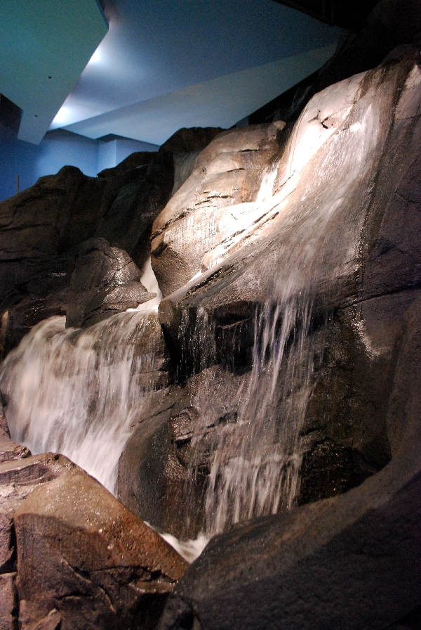 AZA 9-13-11 Georgia Aquarium