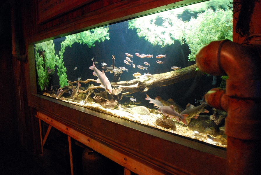 AZA 9-13-11 Georgia Aquarium