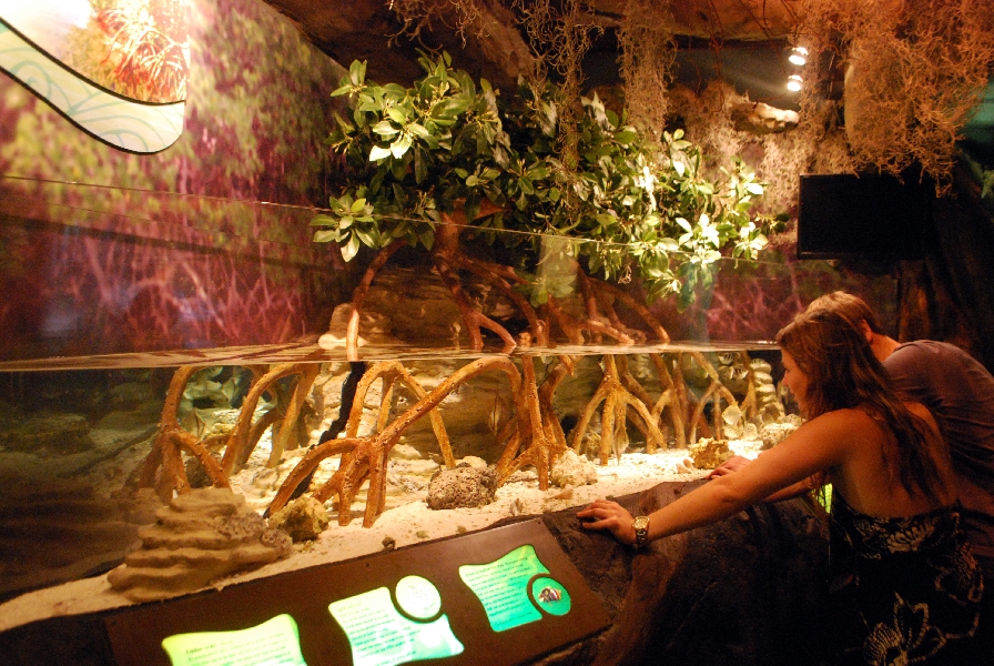 AZA 9-13-11 Georgia Aquarium