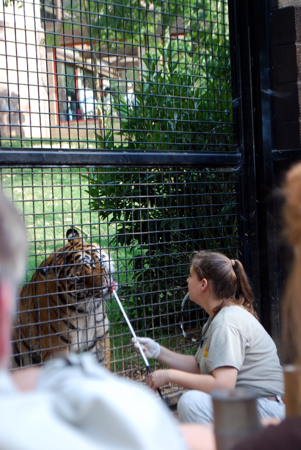 AZA 9-17-11 Atlanta Zoo