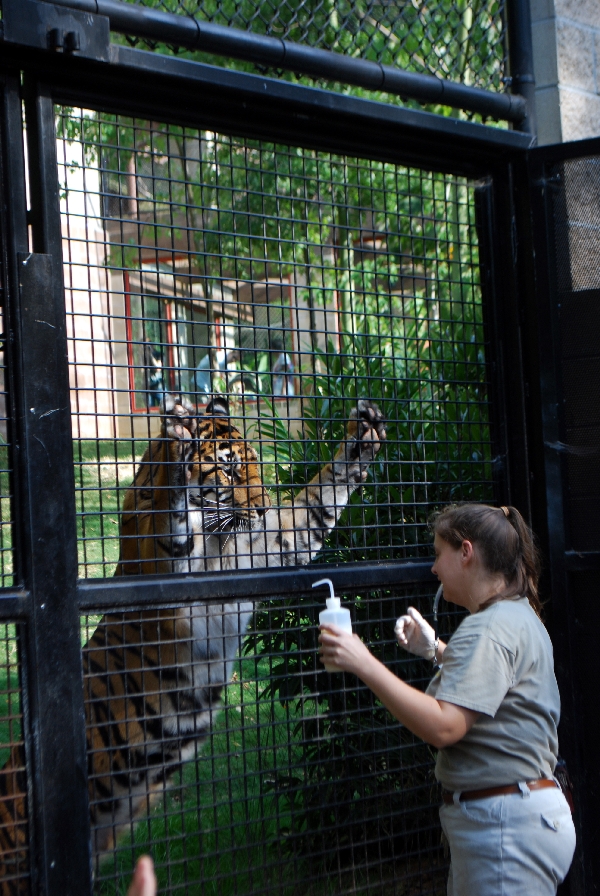 AZA 9-17-11 Atlanta Zoo