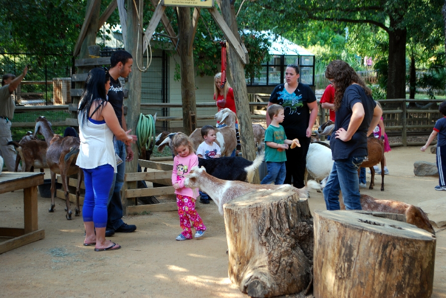 AZA 9-17-11 Atlanta Zoo