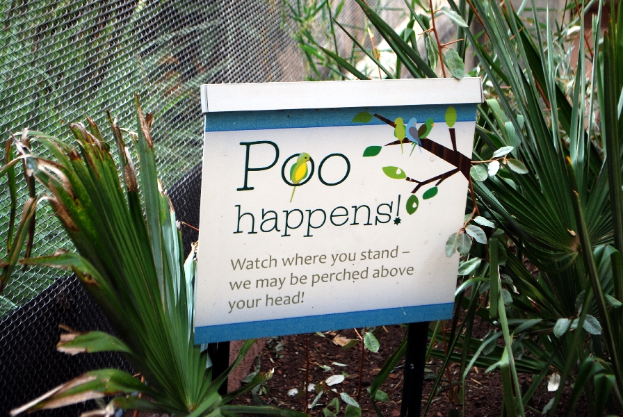 AZA 9-17-11 Atlanta Zoo