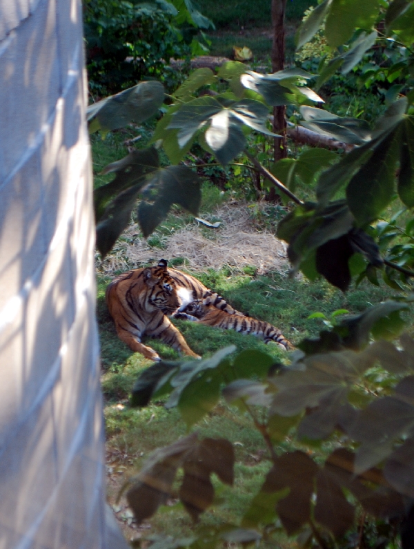 AZA 9-17-11 Atlanta Zoo