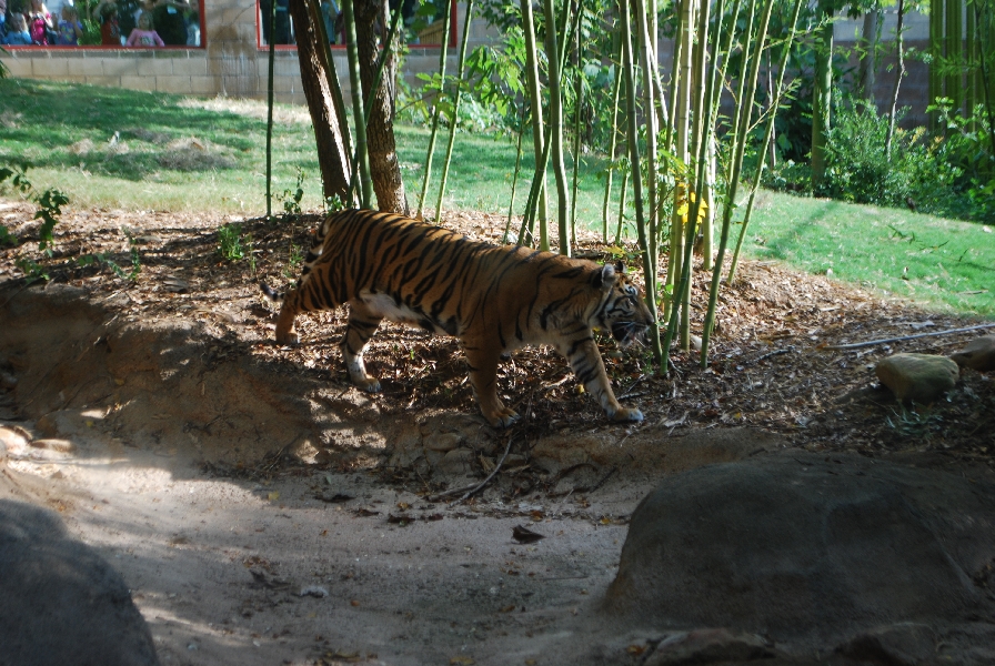 AZA 9-17-11 Atlanta Zoo