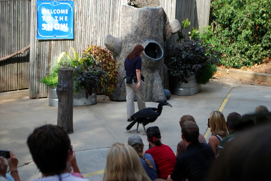 AZA 9-17-11 Atlanta Zoo